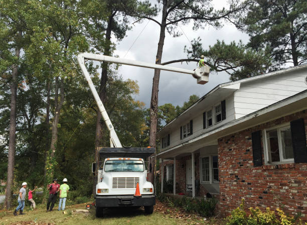  Columbus, GA Tree Care Pros
